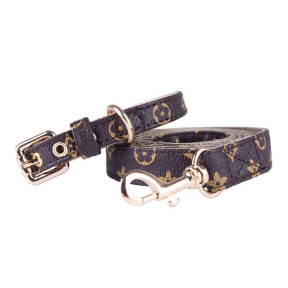Super cute Louis *Pawton* Collar and Leash
